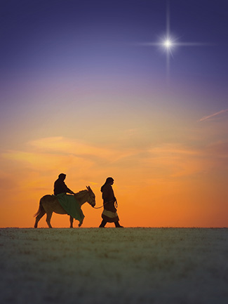 Person riding a donkey and a person walking in the desert