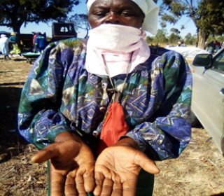 Woman tending gardens in Zimbabwe