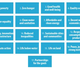 Text of the 17 UN Sustainable Development Goals, each in a separate square
