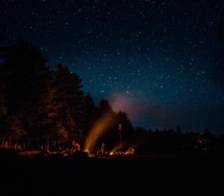 A group surrounds a large night time campfire, surrounded by trees and stars.