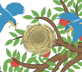 Blue birds and nest