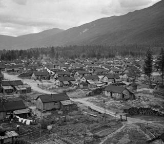 internment camps