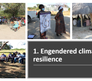 Collage of 4 photos of people attending talks or workshops outdoors in Zambia beside the words Engendered climate resilience