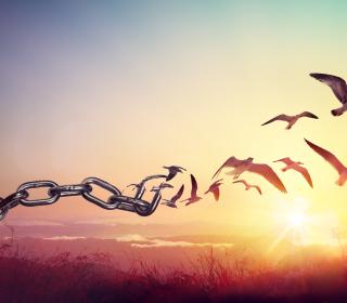 an illustration of chains transforming into free birds in a sunrise