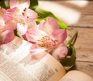 Pink alstroemeria flowers lie on top of an open Bible. 