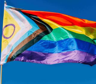 Flag flying on a flagpole in the pride rainbow colours, the transgender colours, and the intersex purple circle.