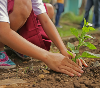 A child, whose face is not shown, is crouched down and planting a seedling in the earth.