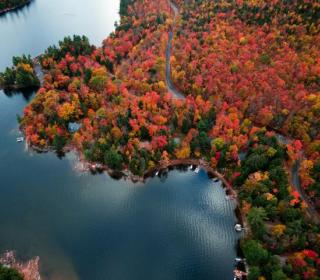 Aerial view of a lake and forest