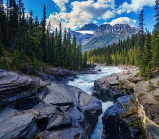 A river rushing by in a forest.