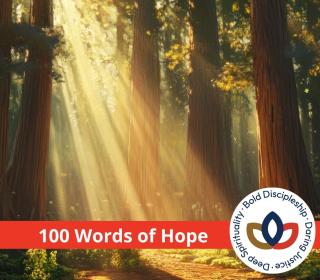 A ray of light in a forest, with a banner over top reading "100 words of hope"