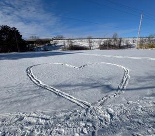Tracks form a heart in the snow