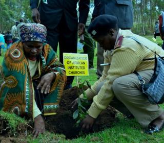 Two people planting a small plant in soil