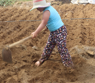 A farmer working in a dry field