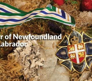 The medal of the Order of Newfoundland and Labrador