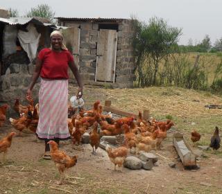 Farmer Rose Muthoni stands, smiling near her chickens on her small farm in Kenya. She has about 25 brown chickens. There are a couple of small shelters in the background.