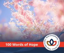 Light-dappled cherry blossoms in full bloom.