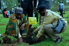 Two people planting a small plant in soil