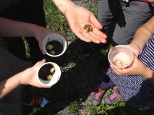 A group of campers at the Vacation Bible School hold a bunch of snails and slugs.