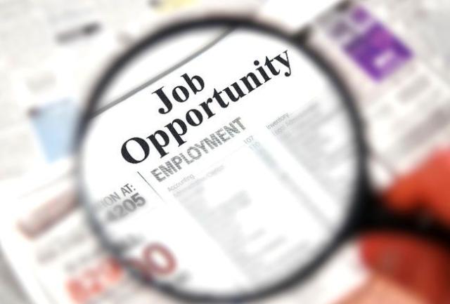 Job Opportunity Stock Photos