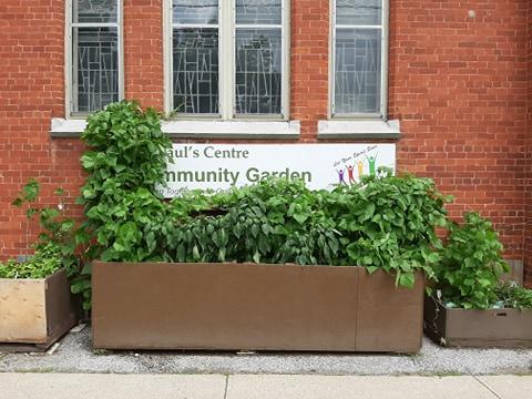 A picture of a planter box outside the church, teeming with vibrant greenry.