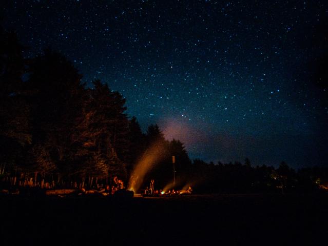 A group surrounds a large night time campfire, surrounded by trees and stars.