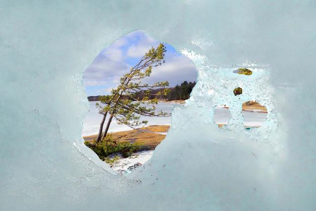 A frame of crusty ice focuses our attention on a green living tree.