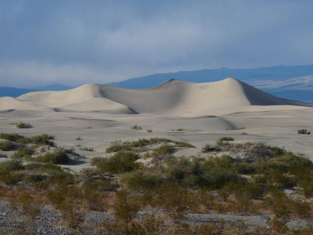 A desert scene with white sand dunes seen at a distance.