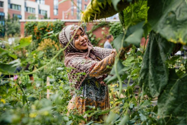 Woman tending a garden.
