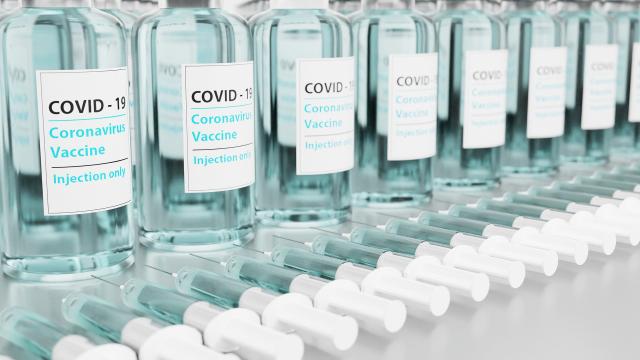A row of small vaccine bottles with labels saying COVID-19 coronavirus vaccine