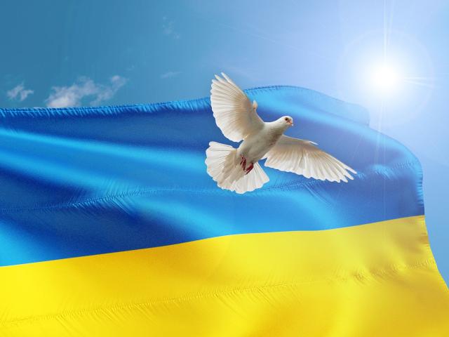 A white dove with wings outstretched flies across a background of the Ukrainian flag