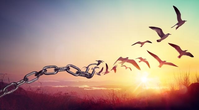 an illustration of chains transforming into free birds in a sunrise