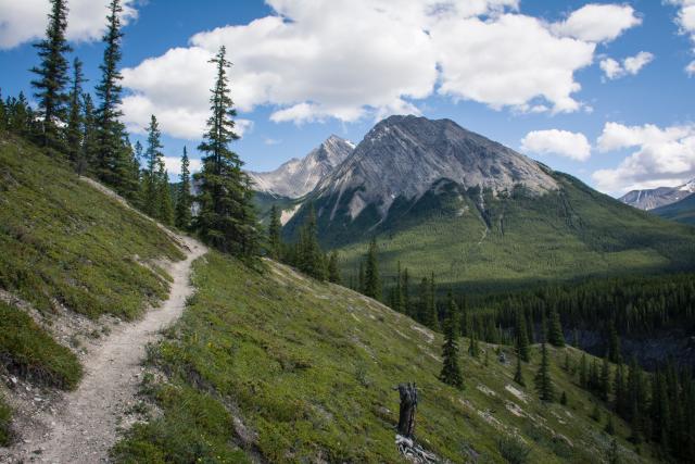 A trail winds its way through the mountains of Alberta.