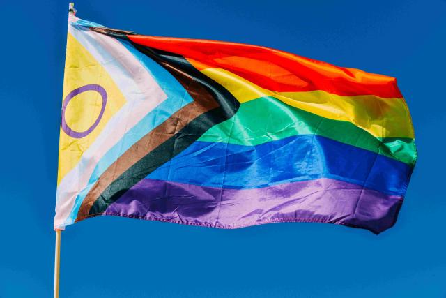 Flag flying on a flagpole in the pride rainbow colours, the transgender colours, and the intersex purple circle.