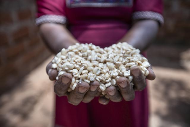 A person holds two handfuls of grain together in the shape of a heart.