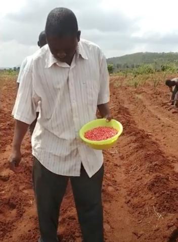 A man in Malawi plants crops in a field