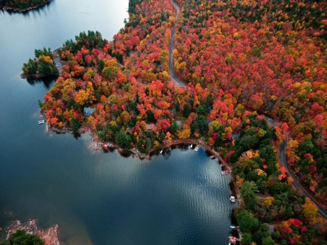 Aerial view of a lake and forest
