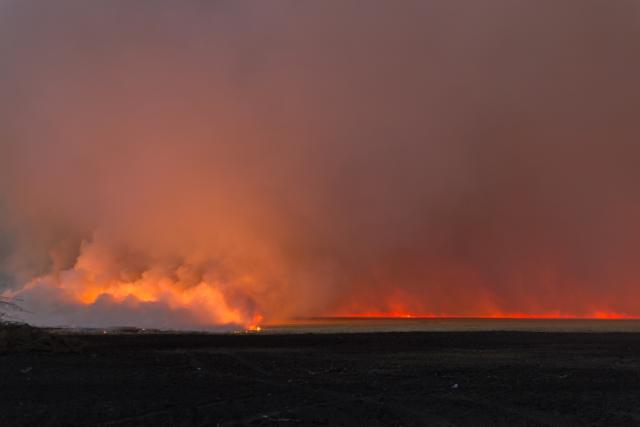 A wildfire burns on a horizon