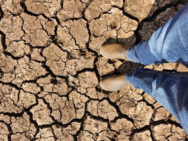 Feet in a pair of boots standing on very cracked, dry, ground