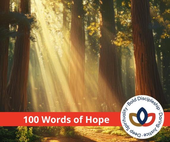 A ray of light in a forest, with a banner over top reading "100 words of hope"