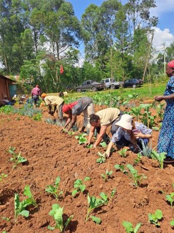 A group of people farming in Africa