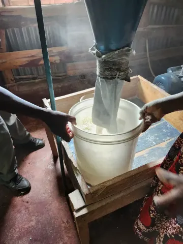Two people hold a bucket below an agricultural device