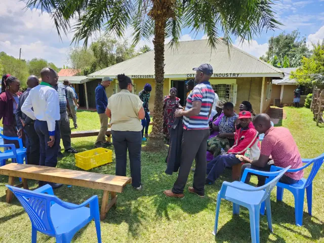 A group of people stand around a palm tree outdoors in Kenya