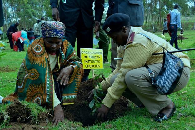 Two people planting a small plant in soil