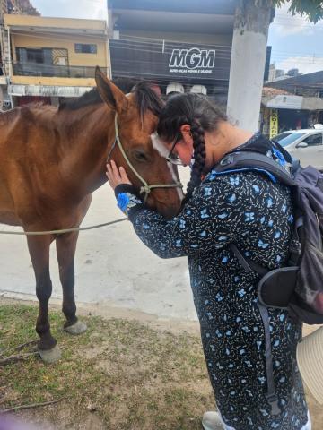 Samantha Miller with a horse at COP30