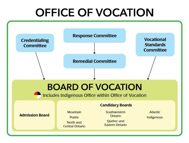 Structure of the Office of Vocation