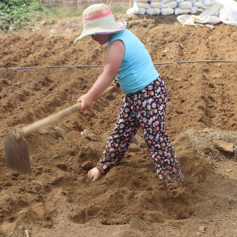 A farmer working in a dry field
