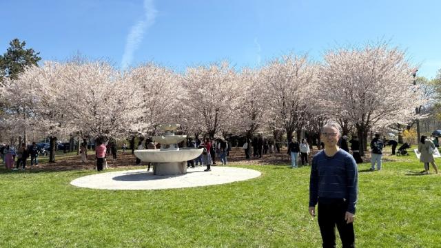 Won Hur smiles in front of a row of cherry blossom trees