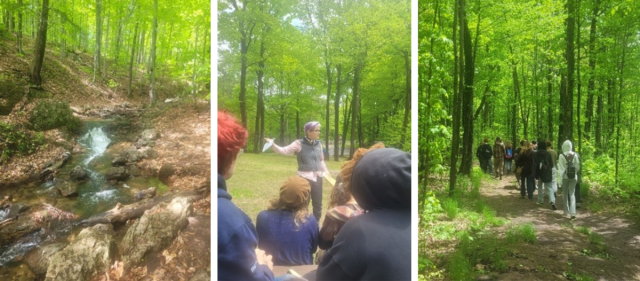 Three-photo collage of youth gathering in a forest