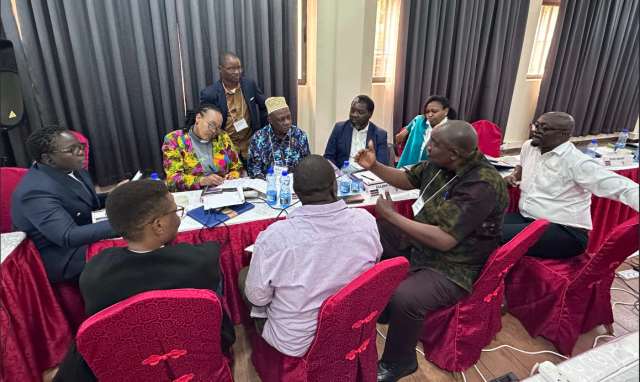 A group of African people sit around a long table in a board room having a discussion