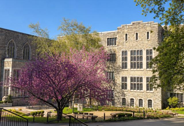 Emmanuel College